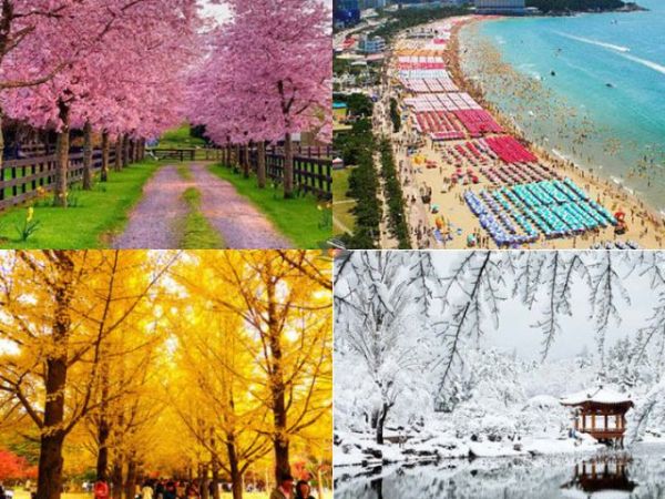 Best Time to Visit Seoul